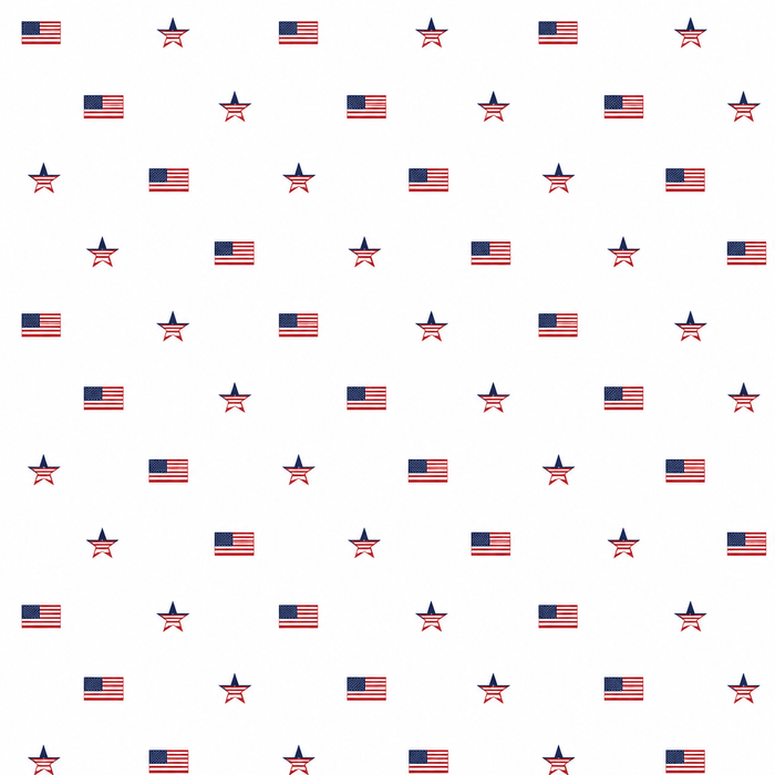 American Flag - Crewneck T-Shirt