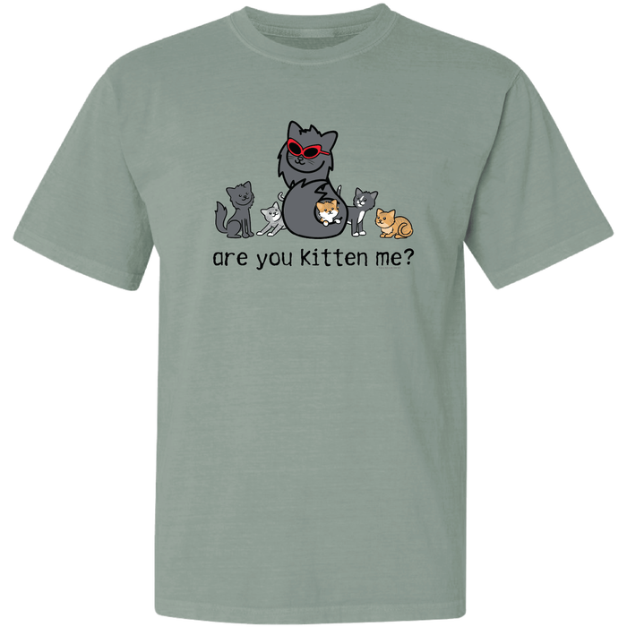 Are You Kitten Me - Garage Sale Classic Tee
