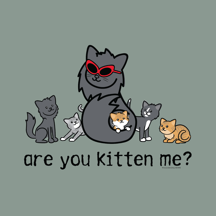 Are You Kitten Me - Garage Sale Classic Tee
