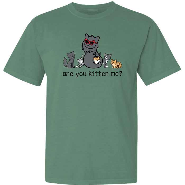 Are You Kitten Me - Garage Sale Classic Tee