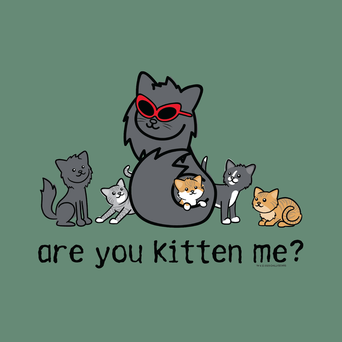 Are You Kitten Me - Garage Sale Classic Tee