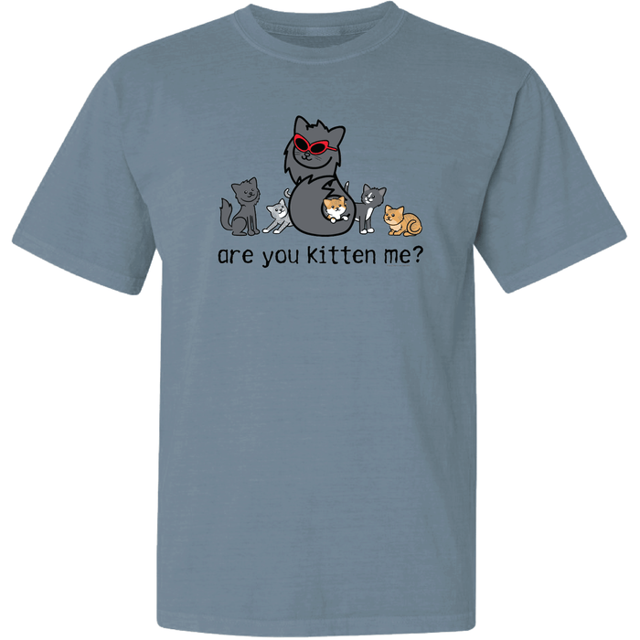 Are You Kitten Me - Garage Sale Classic Tee