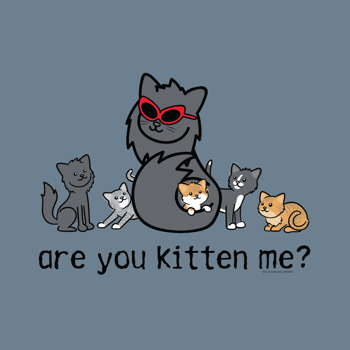 Are You Kitten Me - Garage Sale Classic Tee