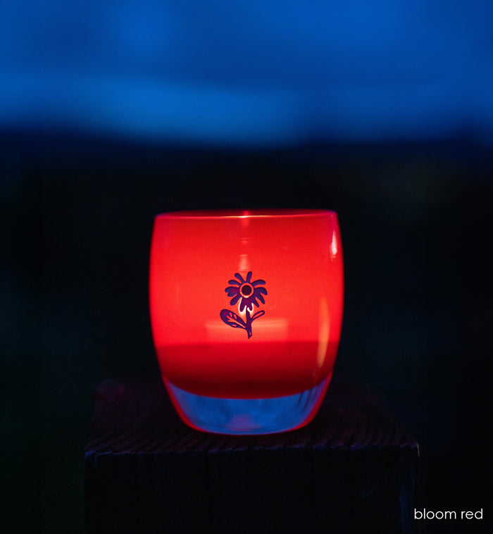 bloom red glassybaby with white flower etched outside at night.
