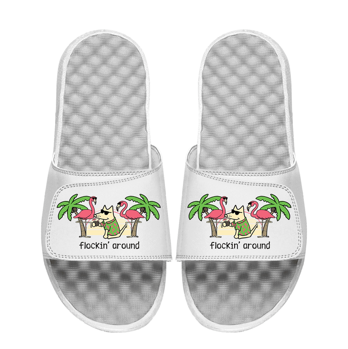 Flockin Around - Slides