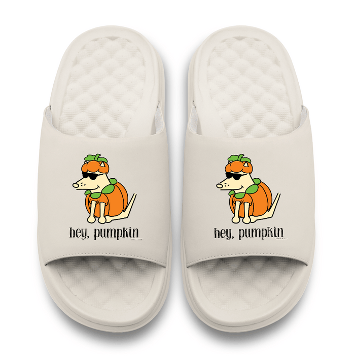 Hey Pumpkin - Motive Slides