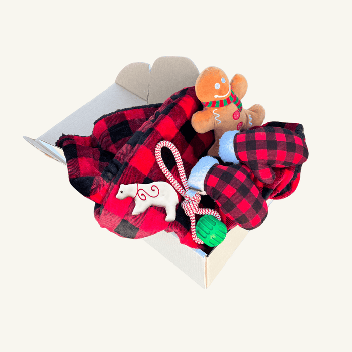 Holiday Gift Box - Bundle