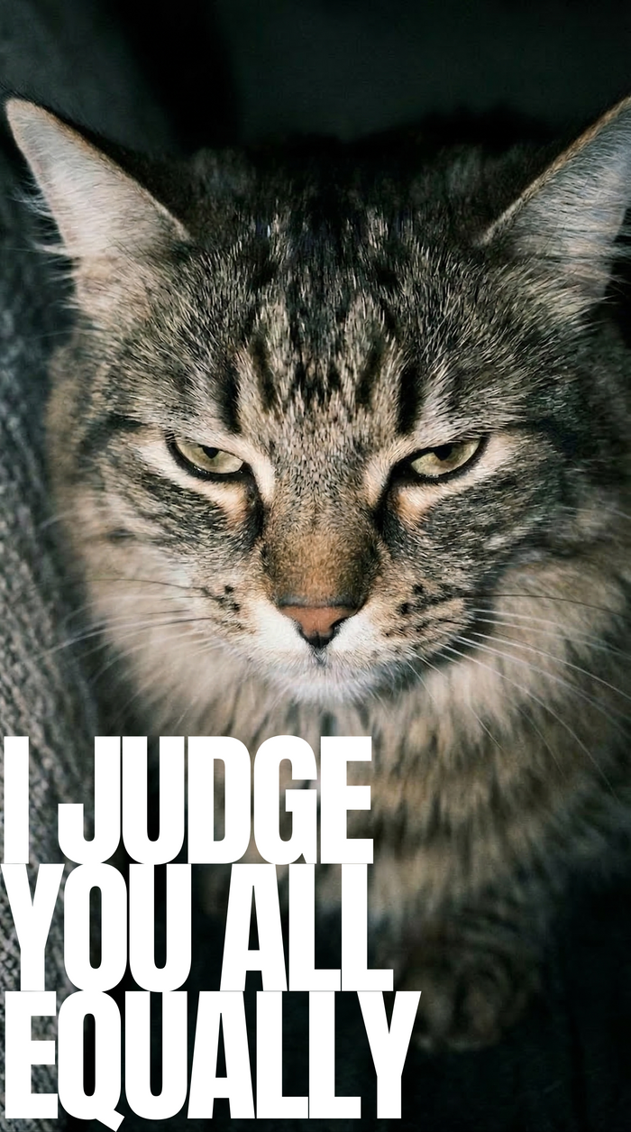 I Judge You All Equally T-Shirt