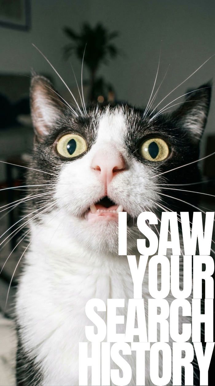 I Saw Your Search History T-Shirt