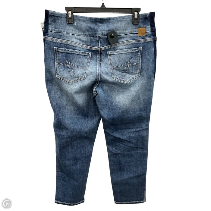 Jeans Skinny By Jag In Blue Denim, Size: 16
