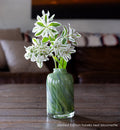 Limited Edition hawks nest bloomette vase green with blue swirls hold white flowers.