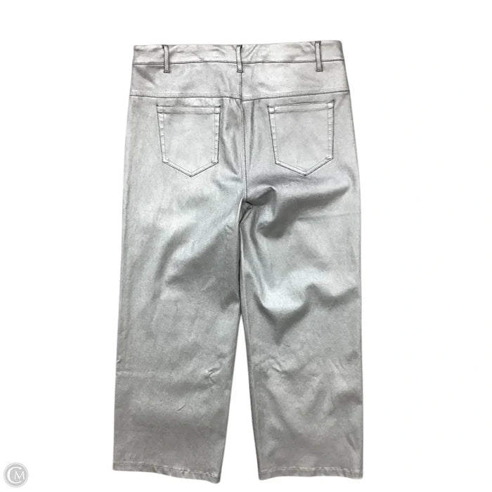 Pants Wide Leg By Lysse In Silver, Size: 14