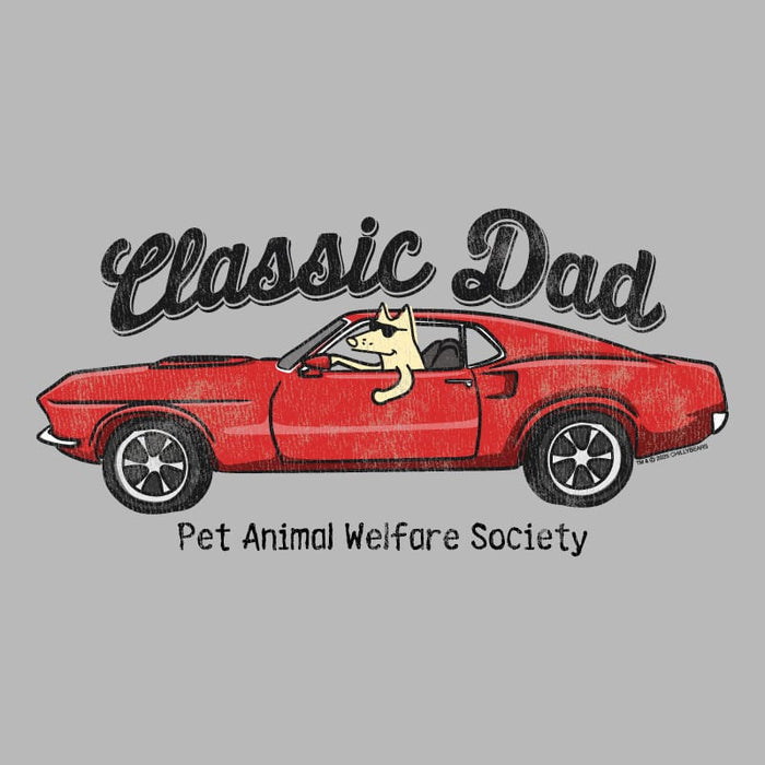 Pet Animal Welfare Society - Ladies T-Shirt V-Neck
