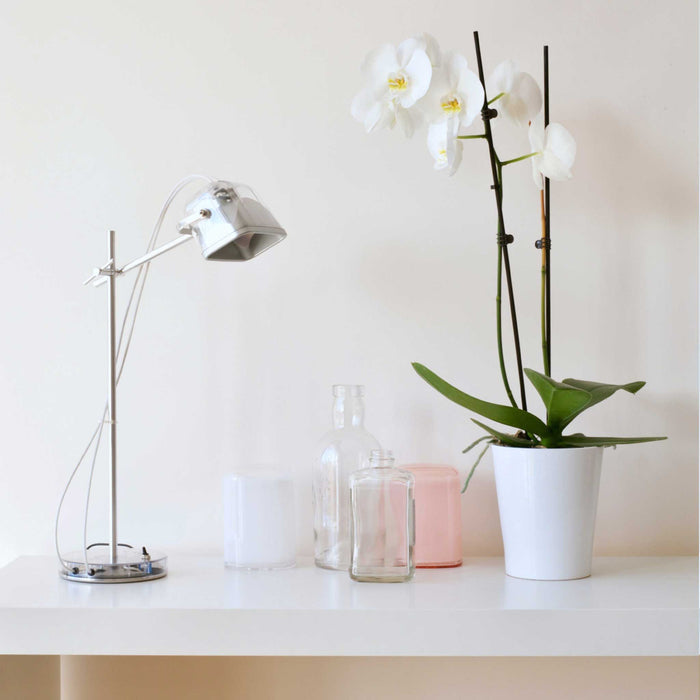 Reading Desk Lamp
