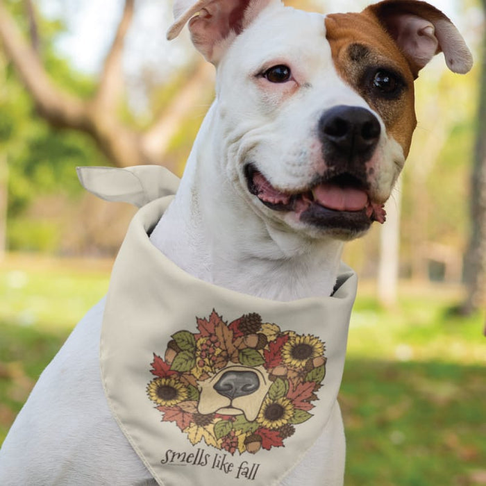 A white and brown dog outdoors wearing a cream bandana with a fall-themed graphic and the text 'smells like fall'.