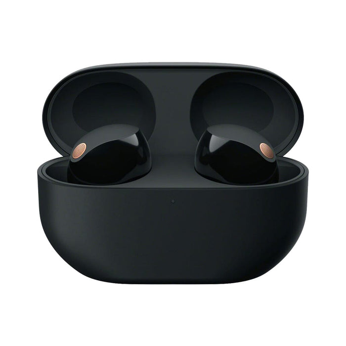 Sony WF-1000XM5 Wireless In-Ear Headphones Headphones Sony Black