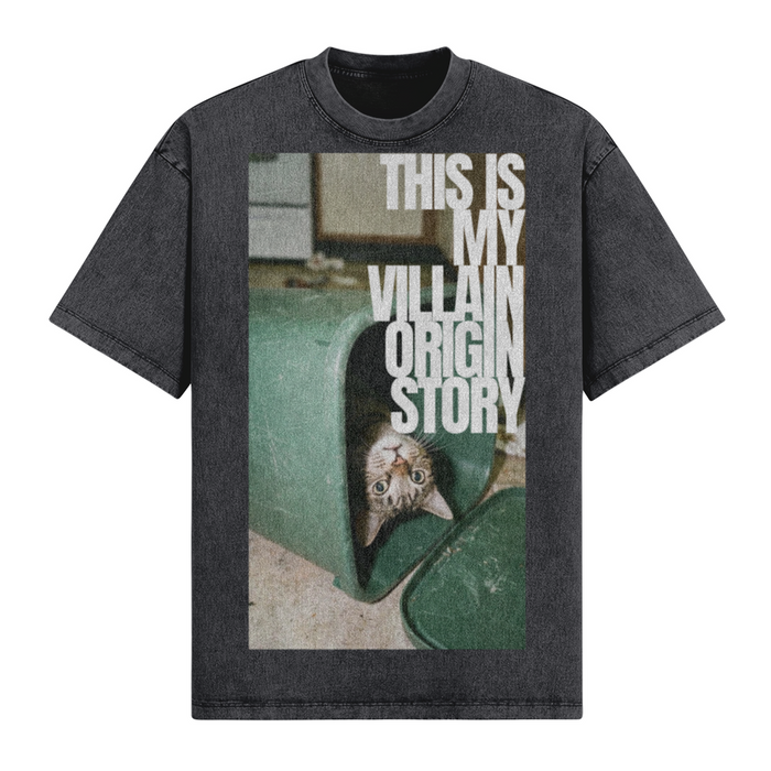 This Is My Villain Origin Story T-Shirt