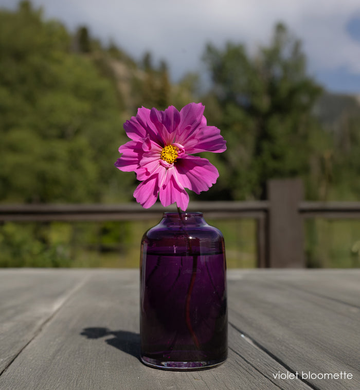 violet bloomette - purple vase with pink flower on wood table outside.